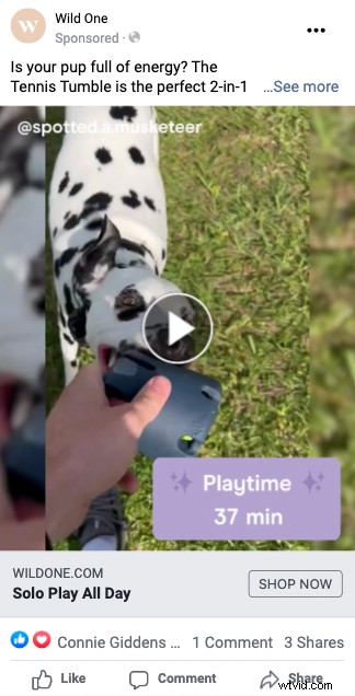 Drive Conversions: Why Video Ads Need Relevant Landing Pages