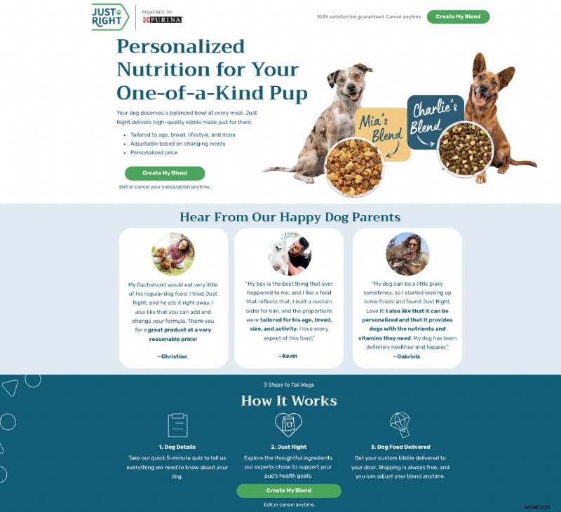 Drive Conversions: Why Video Ads Need Relevant Landing Pages
