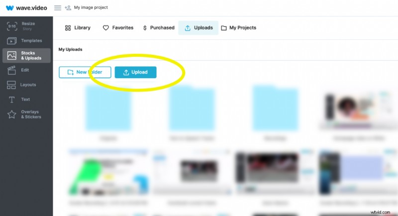 10+ Creative TikTok Profile Pictures to Stand Out (2024)