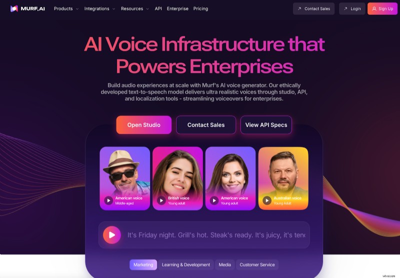 Top Voice-Over Software of 2025: Reviews & Comparisons