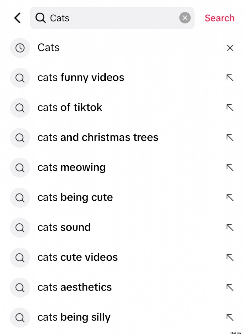 TikTok Video SEO 2024: Optimize Your Content for Viral Reach