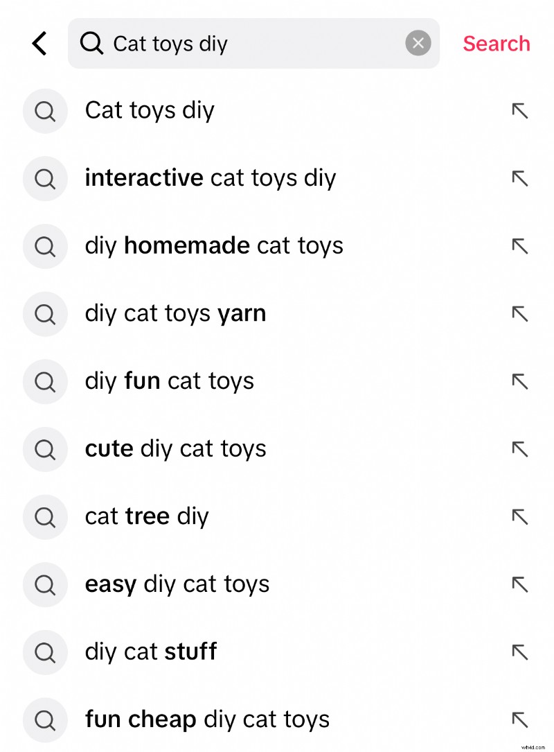 TikTok Video SEO 2024: Optimize Your Content for Viral Reach
