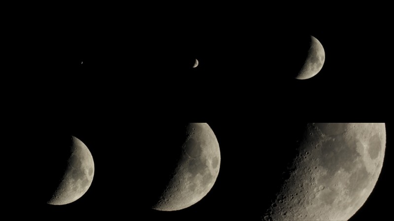 Nikon COOLPIX P1100: Unrivaled Zoom & Performance in a Compact Camera