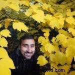 Sony A9 III with Global Shutter: Revolutionizing Flash Photography