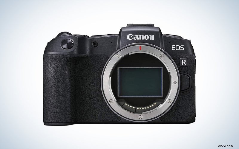 Top Professional Cameras of 2023: Reviews & Buying Guide