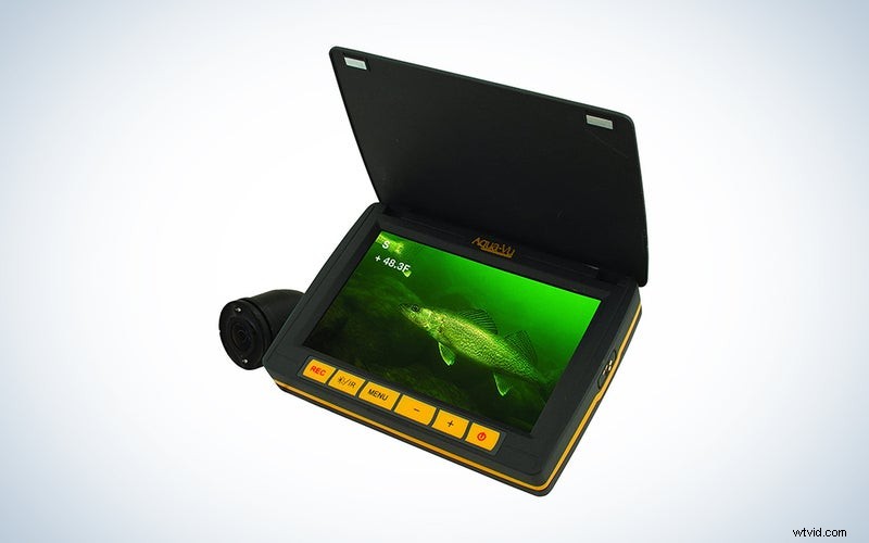 Top Underwater Cameras of 2023: Capture Stunning Submerged Photos & Videos