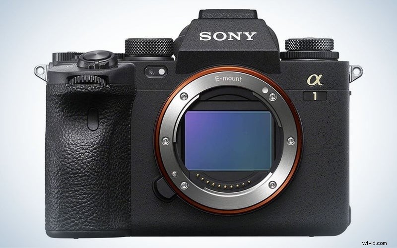 Top Wildlife Cameras of 2023: Reviews & Recommendations