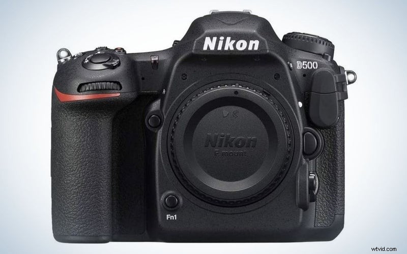 Top Wildlife Cameras of 2023: Reviews & Recommendations