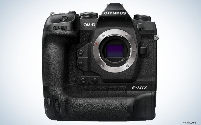 Top Wildlife Cameras of 2023: Reviews & Recommendations