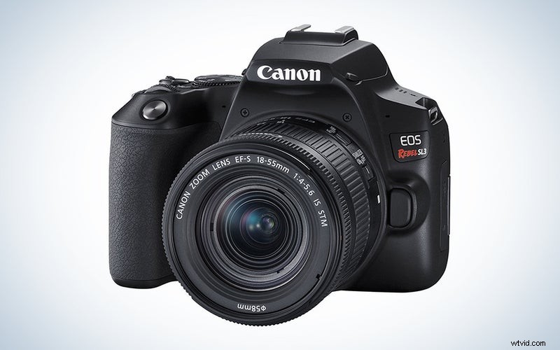Best DSLR Cameras for Beginners in 2023: Top Picks & Reviews