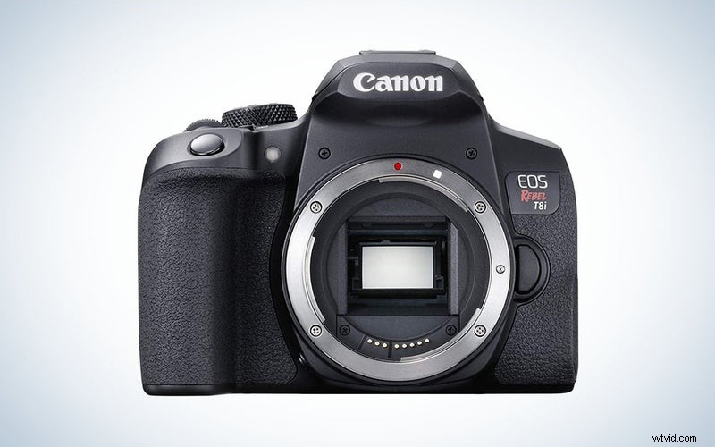 Best DSLR Cameras for Beginners in 2023: Top Picks & Reviews