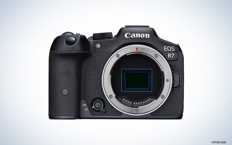 Top Bird Photography Cameras of 2023: Reviews & Recommendations