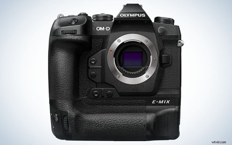 Top Micro Four Thirds Cameras of 2023: A Comprehensive Guide