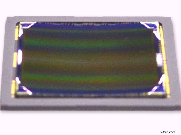 Sony Unveils First Curved Sensor – A Game-Changer for Camera Technology