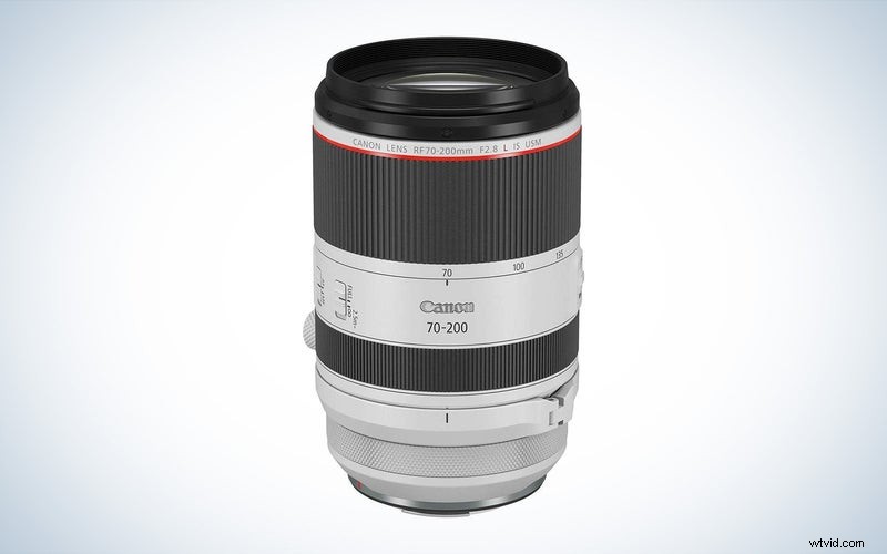 Top Canon Telephoto Lenses of 2023: Reviews & Buying Guide