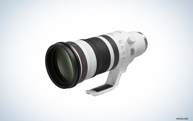 Top Canon Telephoto Lenses of 2023: Reviews & Buying Guide