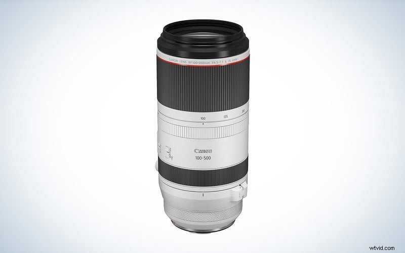 Top Canon Telephoto Lenses of 2023: Reviews & Buying Guide