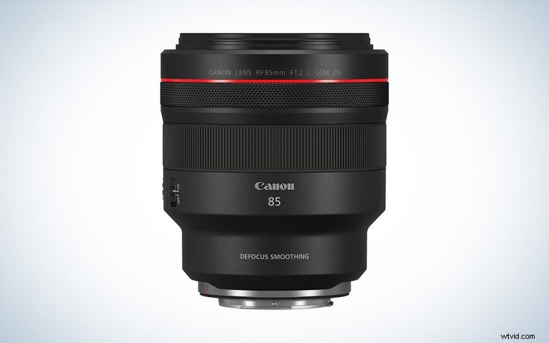 Top Canon Telephoto Lenses of 2023: Reviews & Buying Guide