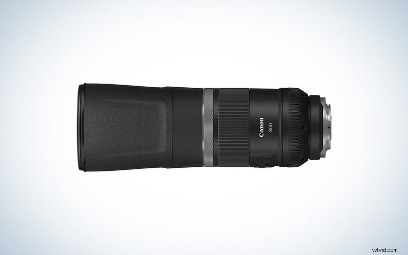 Top Canon Telephoto Lenses of 2023: Reviews & Buying Guide