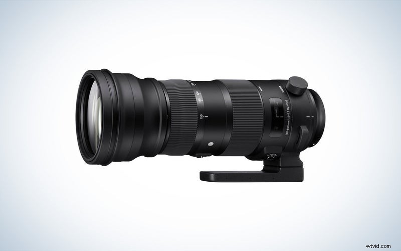 Top Canon Telephoto Lenses of 2023: Reviews & Buying Guide