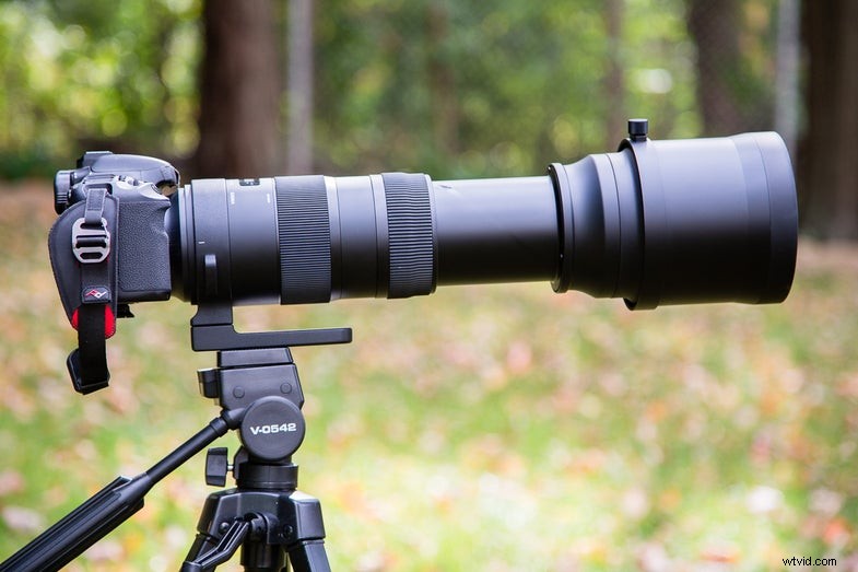 Sigma 150-600mm F/5-6.3 DG OS HSM Lens Review: A Powerful Telephoto Zoom
