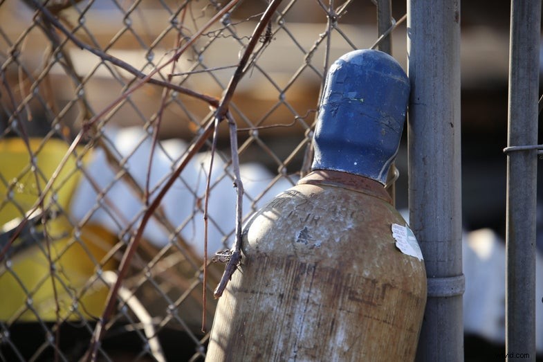 Tamron 70-200mm f/2.8 Review: Image Gallery & First Impressions