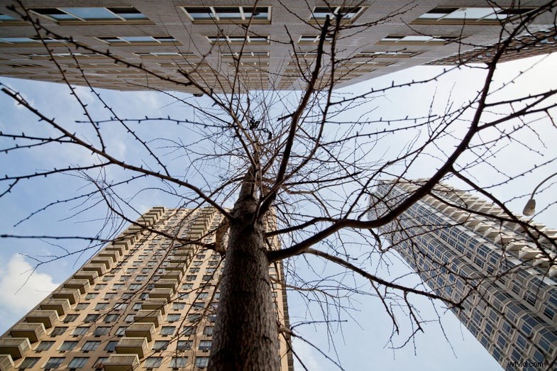 Zeiss Distagon 15mm f/2.8 ZE Lens Review: Sharpness & Performance