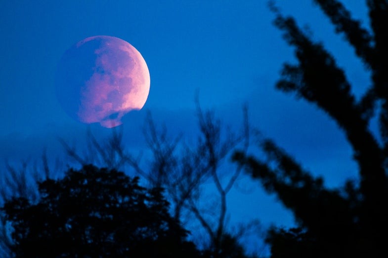 Sigma 150-600mm F/5-6.3 DG OS HSM Review & Sample Images