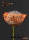Rankin s Burning Dandelions: A Powerful Metaphor for Change