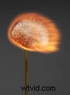 Rankin s Burning Dandelions: A Powerful Metaphor for Change