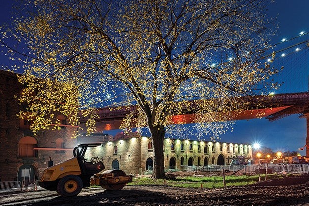 Night Photography Techniques: Expert Tips from Lynn Saville