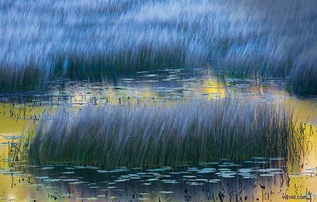 Fall Photography Tips: Capture Stunning Autumn Scenes | Expert Advice