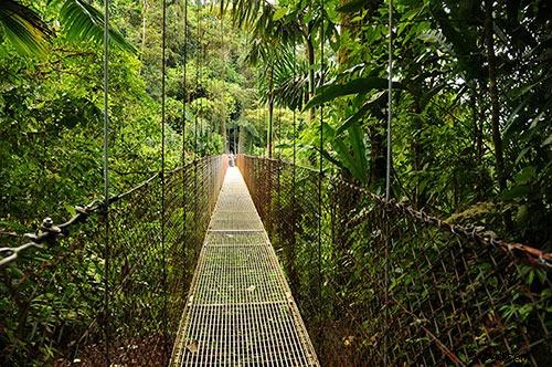 Costa Rica Photography Workshop: Learn from Expert Insights