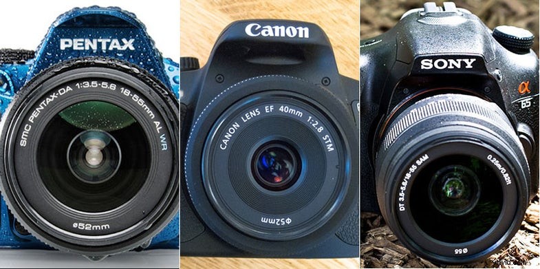Best DSLRs for Sports Photography: Beginner-Friendly Reviews & Recommendations