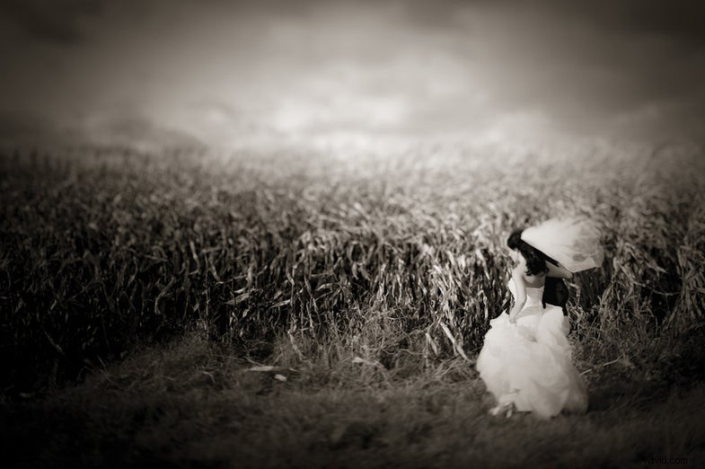 Ron Antonelli - Award-Winning Wedding Photographer | New York