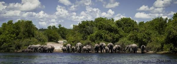 Botswana Photo Safari: Stunning Images & Travel Insights