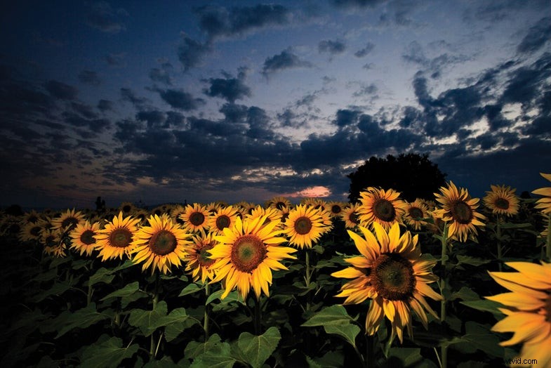 Master Flash Photography: 21 Tips for Stunning Results