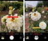 Master Your Smartphone Camera: Hidden Features & Tips