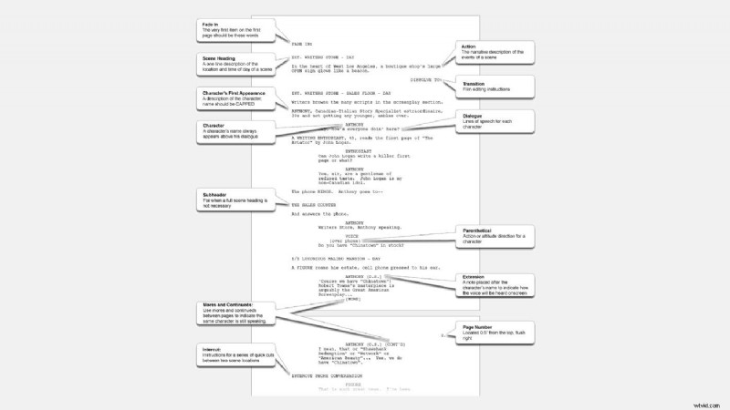Screenplay vs. Script: Understanding the Key Differences