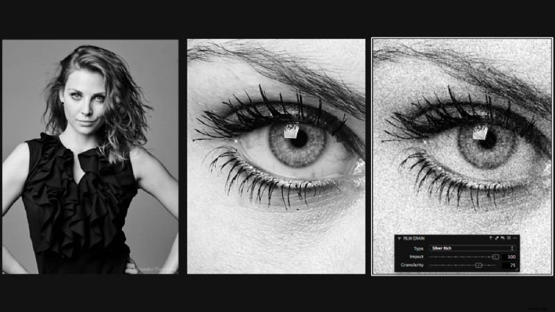 Understanding Film Grain: Characteristics & Digital Comparisons