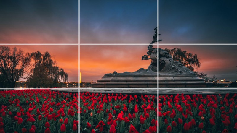 Mastering Composition: The Rule of Thirds & When to Break It