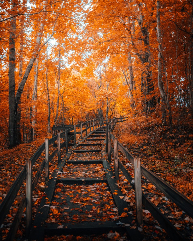 Mastering Composition: The Rule of Thirds & When to Break It