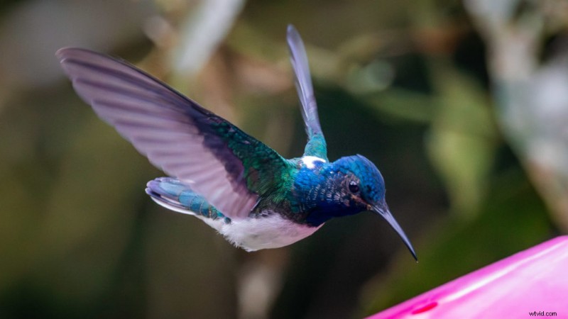 Photography Emphasis: Techniques & Examples to Guide the Viewer