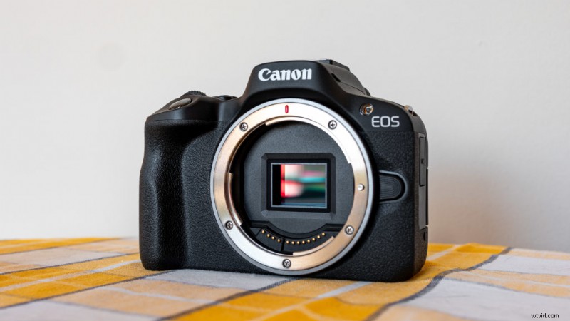 Full Frame vs. Crop Sensor Cameras: A Comprehensive Guide