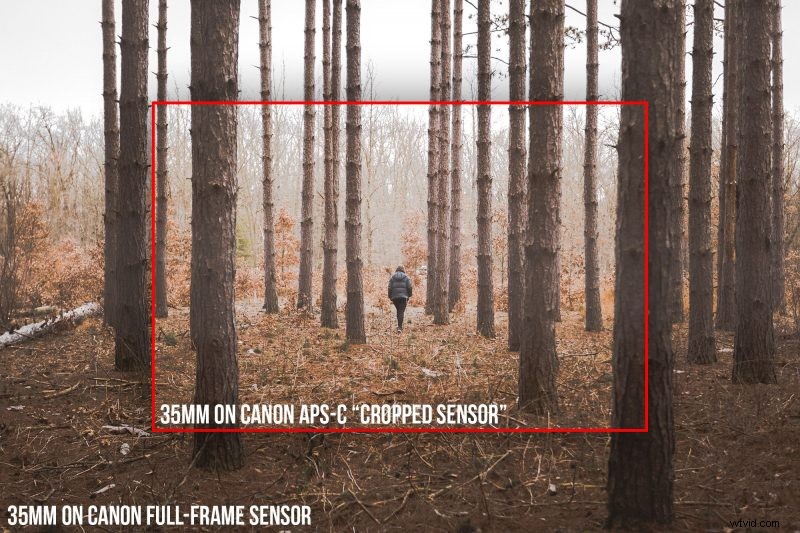 Full Frame vs. Crop Sensor Cameras: A Comprehensive Guide