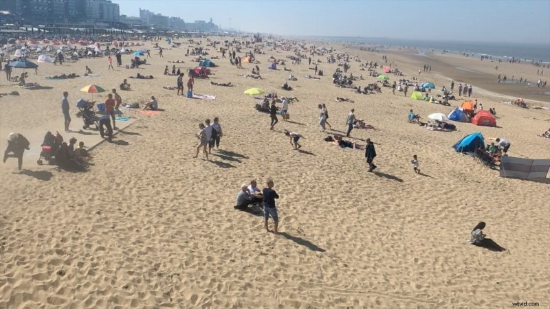 Top 9 Free Final Cut Pro Plugins to Enhance Your Videos (2024)