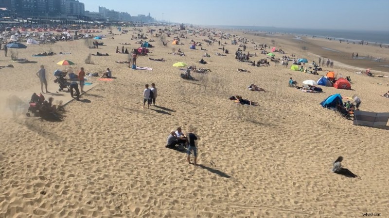 Top 9 Free Final Cut Pro Plugins to Enhance Your Videos (2024)