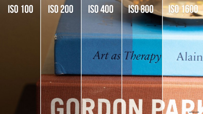 Understanding ISO in Photography: A Beginner s Guide to Image Quality