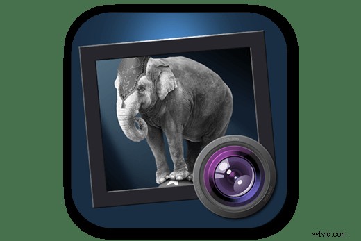 Top Black & White Photo Apps of 2024: Enhance Your Images