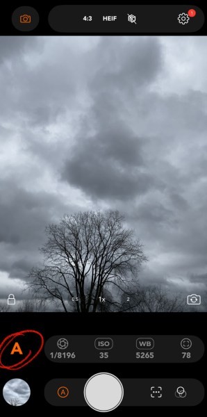 Snap Pro Camera: Elevate Your Mobile Photography - iOS App